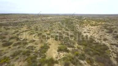 沙漠的超垂空中视频